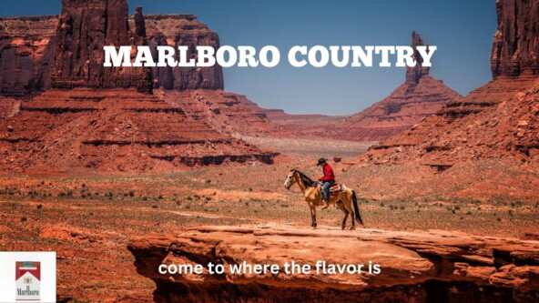 Нестандартная реклама, которая работала: 10 безумных идей, увеличивших продажи